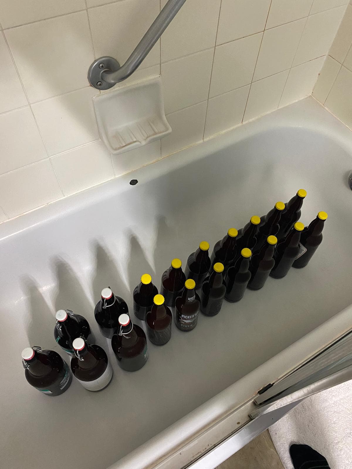 Bottles in ice