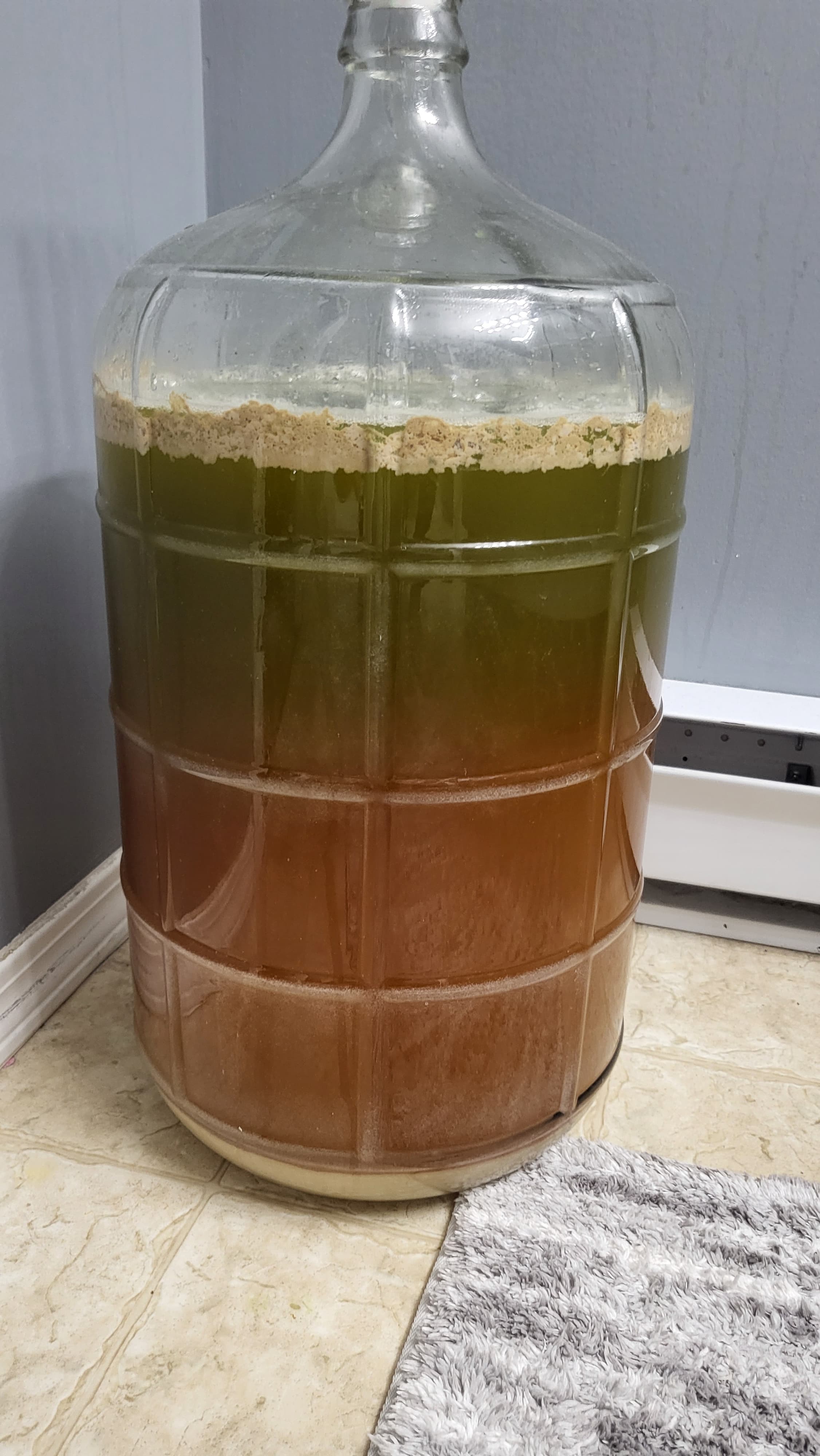 Fermentor with wort